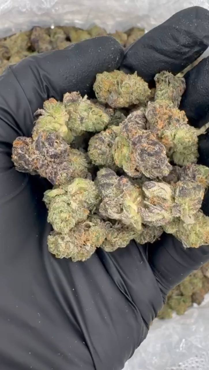 ⚜️Cali Exclusive Candy Infused ⚜️  Tropical Berries flavor 🌺🌴🍓 **Twisted Berry Smalls**