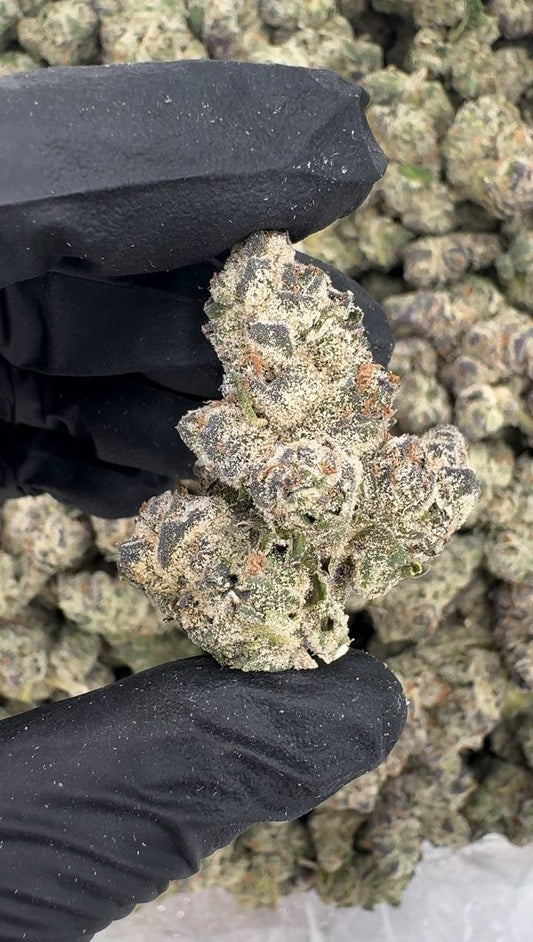 Black Gummies (Organic)🖤🍭🧸