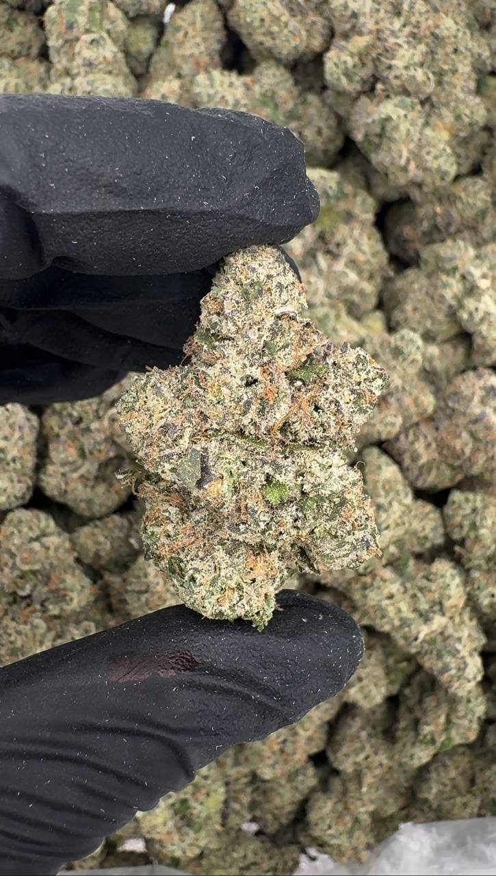 Blue Banger (Organic)🏝🌺🥊