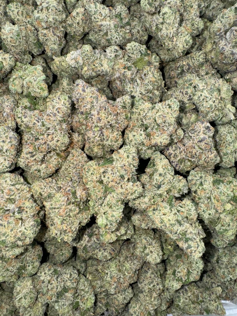 Blue Banger (Organic)🏝🌺🥊
