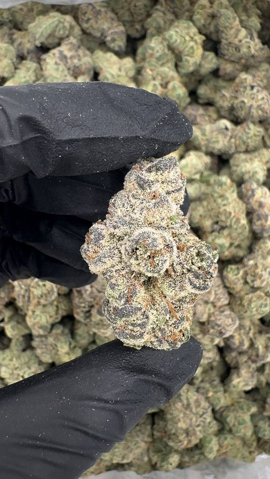 Twisted Citrus (Organic)🌪️🍊🍋
