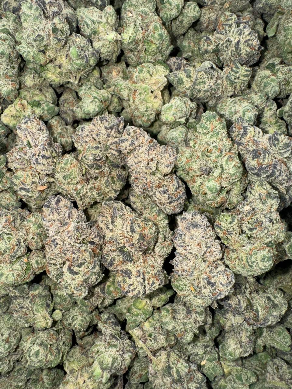 Twisted Citrus (Organic)🌪️🍊🍋