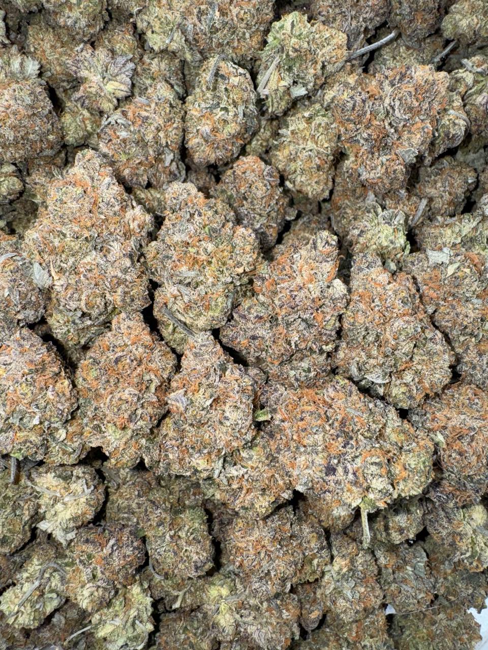 Blue Cookies 💙🥶🍪
