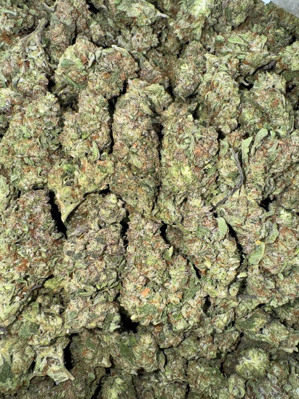 Dragon Breath 🐲🐉💨