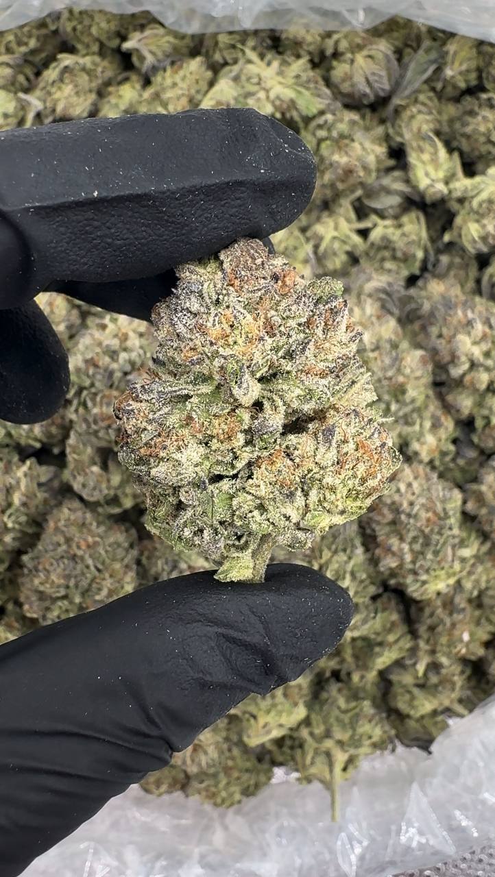 Frosted Flakes ❄️🥣🍩