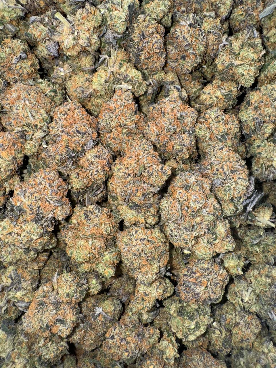 Golden Gas 👑⛽️💨