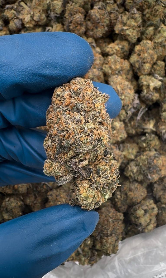 Golden Gas 👑⛽️💨