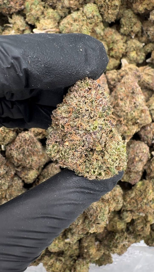 Gobstopper 🍭🍬💣