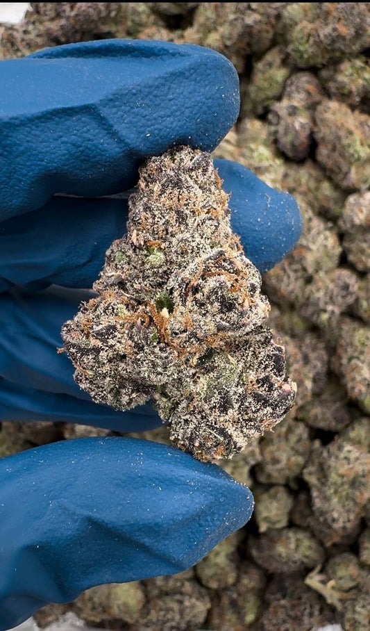Gumbo Candy(Organic) 🍛🍭🍬