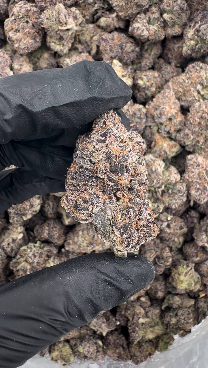 Hurricane Runtz 🌊💨🍇