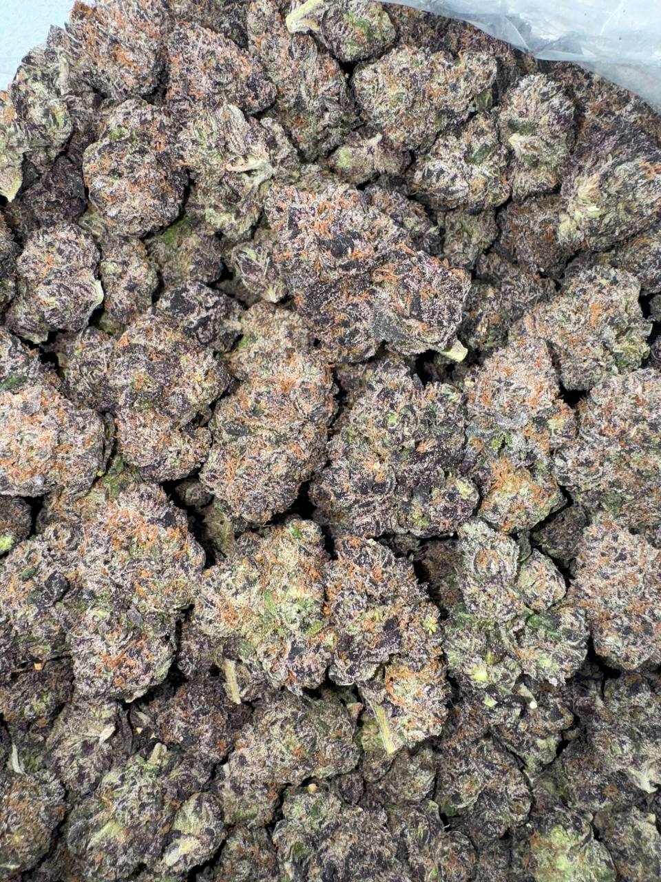 Hurricane Runtz 🌊💨🍇