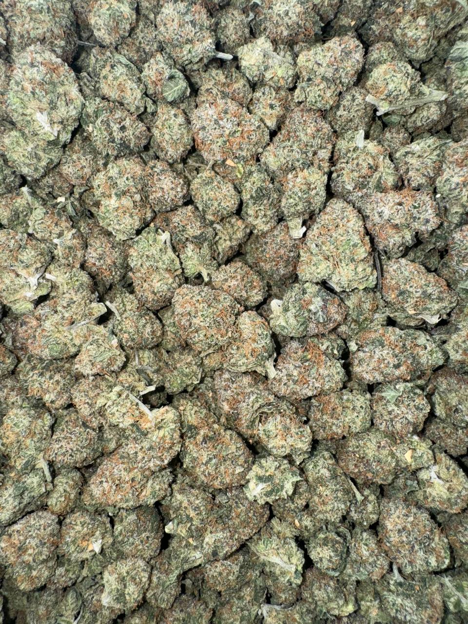 Lemon Cherry Gelato (Mediums)🍋🍒🍨