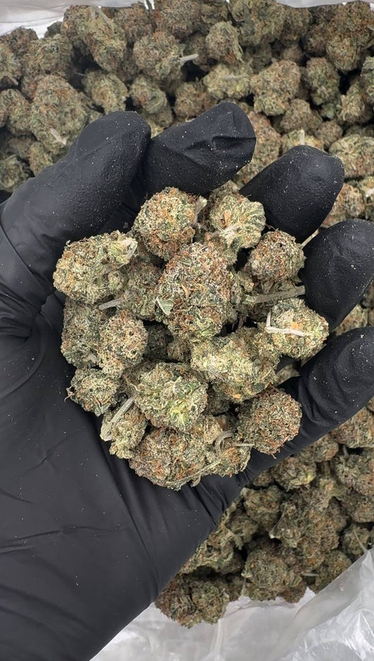 Lemon Cherry Gelato (Mediums)🍋🍒🍨
