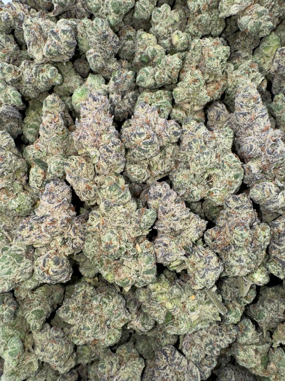 Pineapple Euphoria (Organic)🍍💓🪽