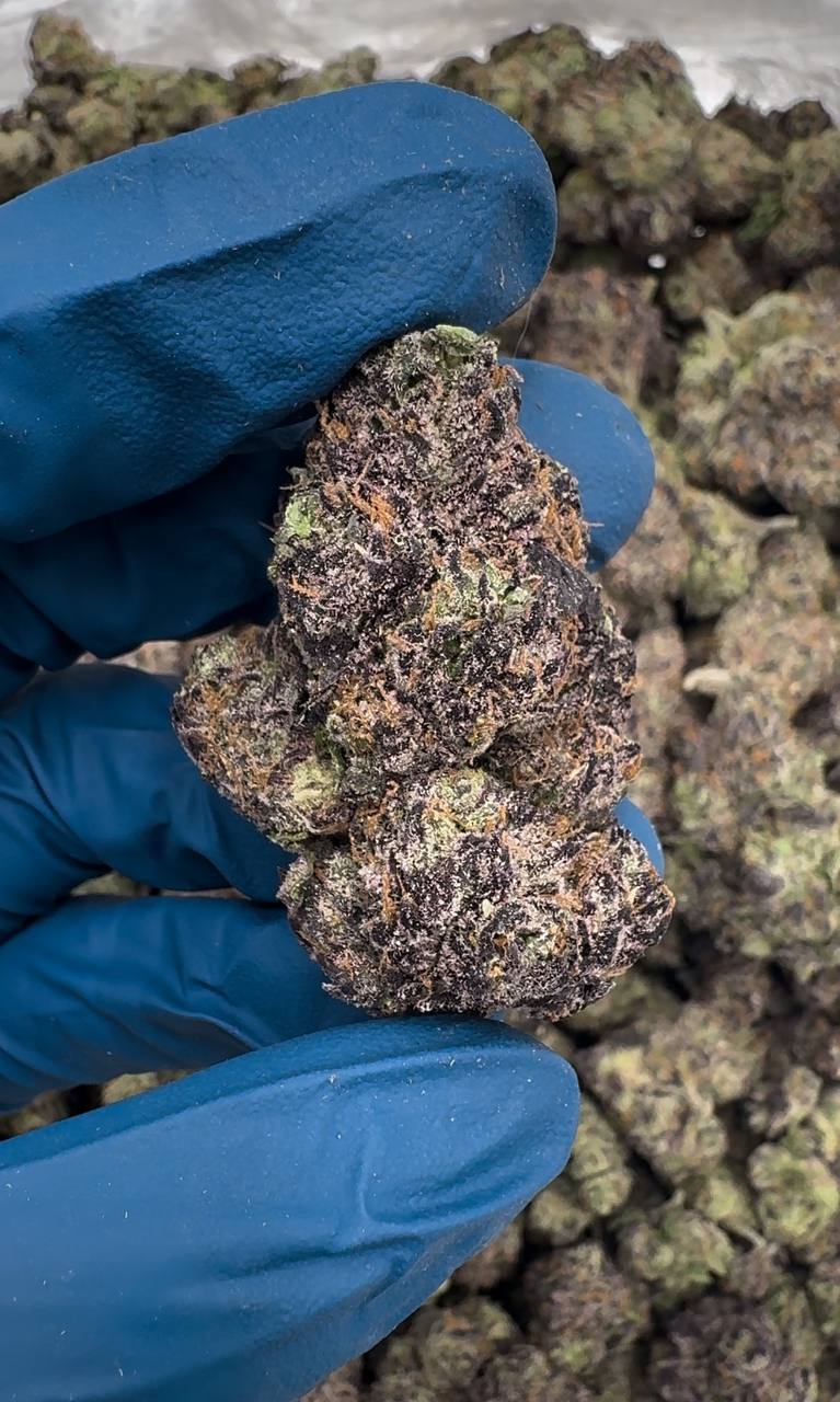 Rainbow Razzberry (Organic) 🌈🍓🫐