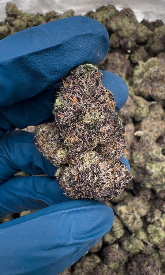 Rainbow Razzberry (Organic) 🌈🍓🫐