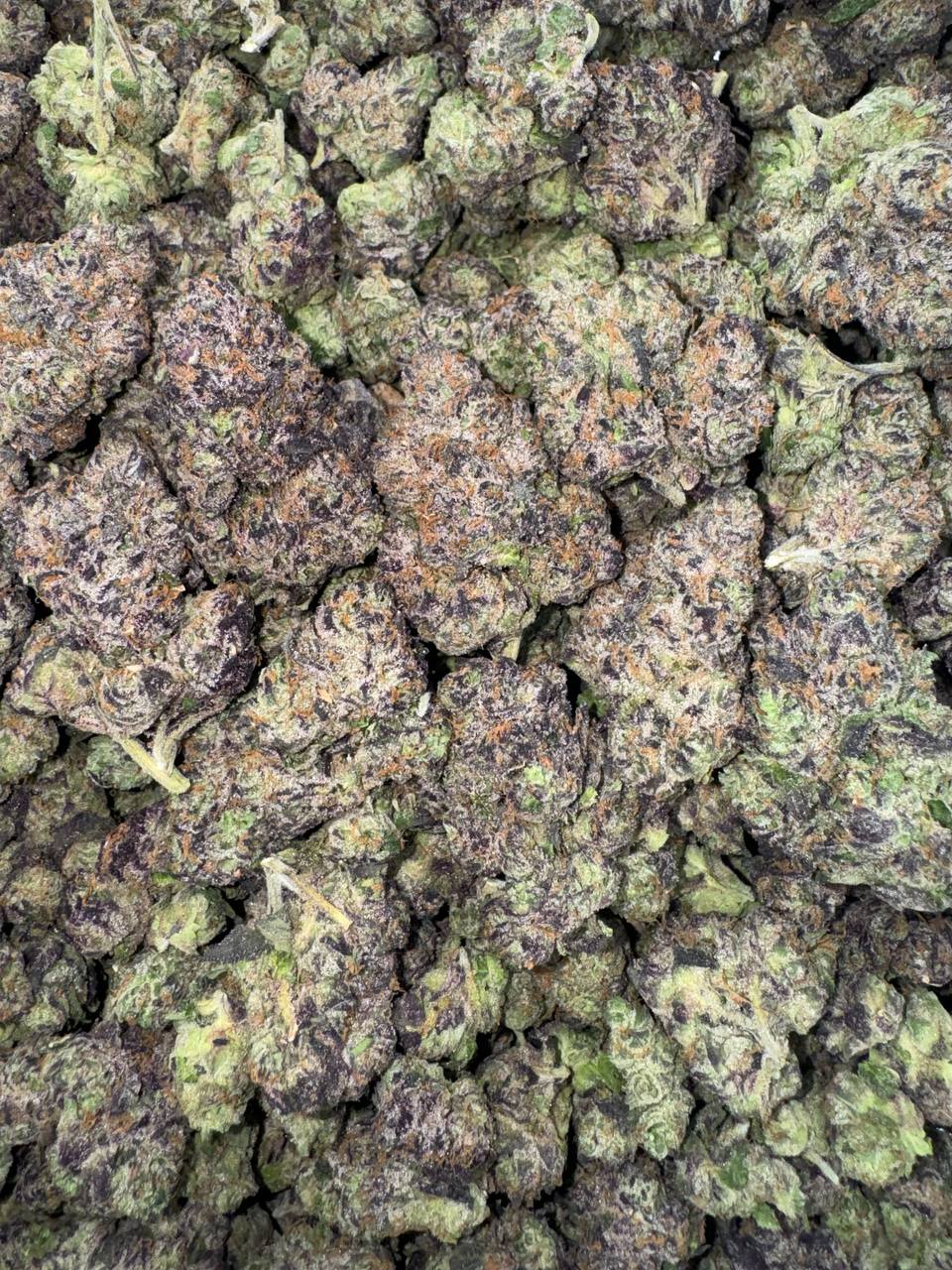 Rainbow Razzberry (Organic) 🌈🍓🫐