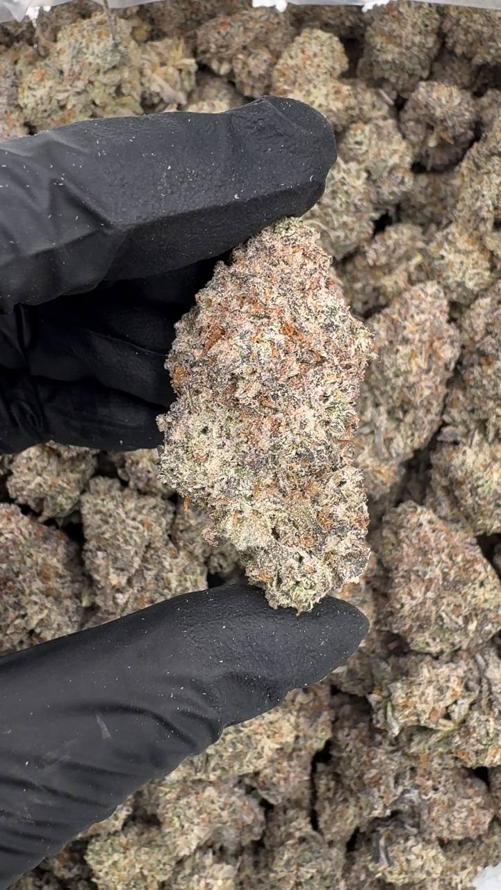 Vanilla Wafer 🍦🍨🥠