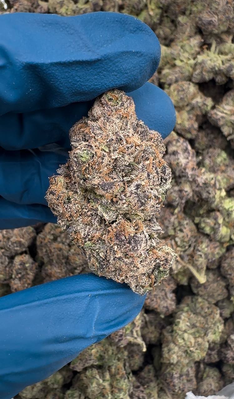 Watermelon Dust (Organic) 🍉✨⭐️